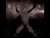 pochette album Nikita