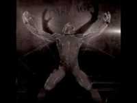 pochette album The elegy of a forgotten science