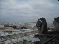 pochette album Dragon tears