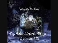pochette album Calling on the wind