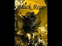 pochette album Ants under glass