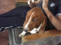 pochette album Sternennacht