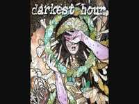 pochette album A paradox with flies