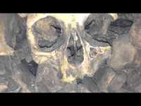 pochette album Fifth