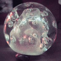 pochette album The only shrine i've seen