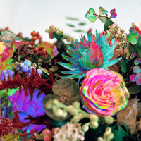 pochette album Amplified ease