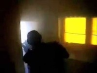 pochette album Swatted