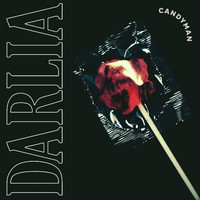 pochette album Animal kingdom