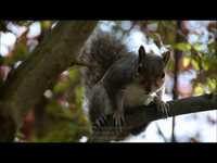 pochette album Lift me up