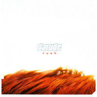 pochette album Next to you