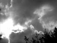 pochette album All wrong