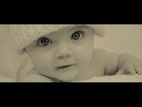 pochette album Shelter