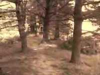 pochette album So long