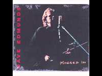 pochette album I got the will