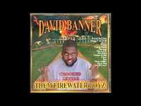 pochette album If i had a choice