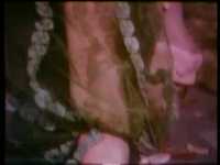 pochette album Columbine