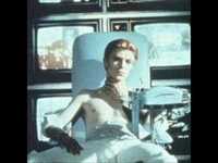 pochette album She shook me cold