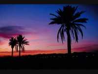 pochette album The wedding song