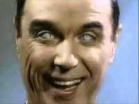 pochette album The accident