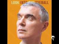 pochette album The great intoxication