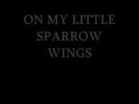 pochette album Little sparrow