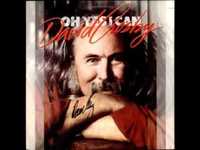 pochette album In the wide ruin