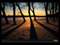 pochette album Stars