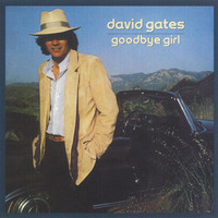 pochette album Goodbye girl
