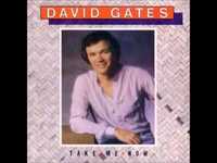 pochette album This could be forever