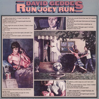 pochette album Run joey run