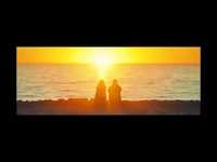 pochette album Roots of love