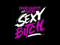pochette album Sexy bitch