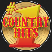 pochette album With one exception