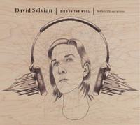 pochette album Manafon