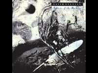 pochette album The boy with the gun