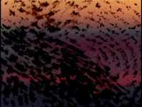 pochette album The scent of magnolia