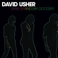 pochette album Airplanes