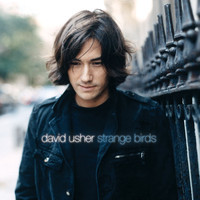 pochette album Science