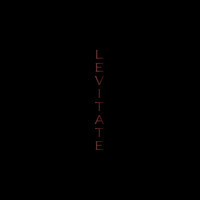 pochette album Levitate