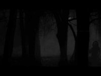 pochette album Shiver in the dark