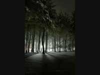 pochette album Rough day