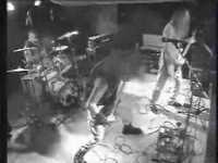 pochette album Maggots in your flesh