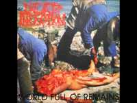 pochette album World full of remains