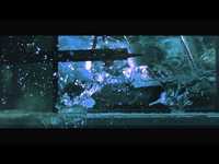 pochette album In plain sight