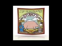 pochette album Like to be alone