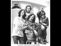 pochette album The guitar song