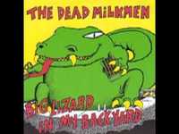 pochette album Violent school