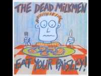 pochette album Where the tarantula lives