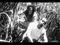 pochette album Know your enemy