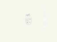 pochette album Anti-pop